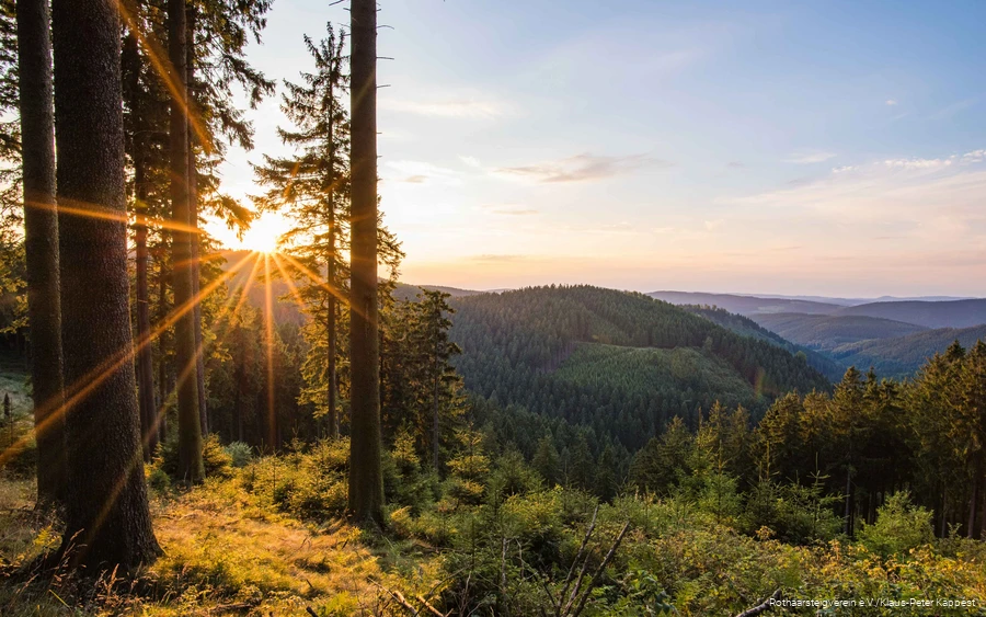 Great view of the valley on the Rothaarsteig.