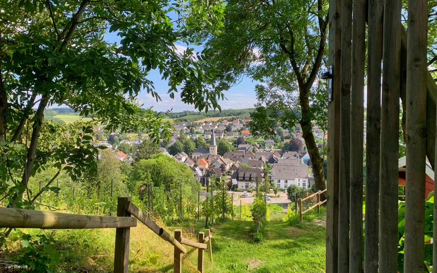 Vineyard with gate