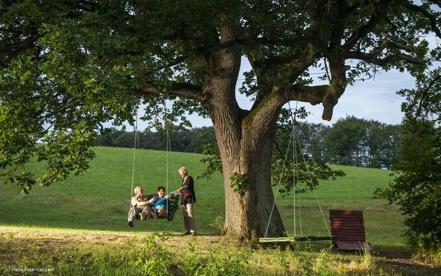 eiche-im-ohl-menschen-schaukel c__klaus-peter_kappest.jpg.jpg