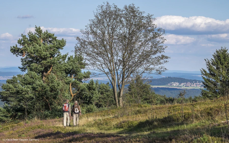 Wanderer in der Heidelandschaft