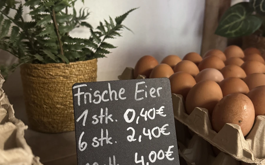20260520 Hof Hämel Meinerzhagen (5).jpg