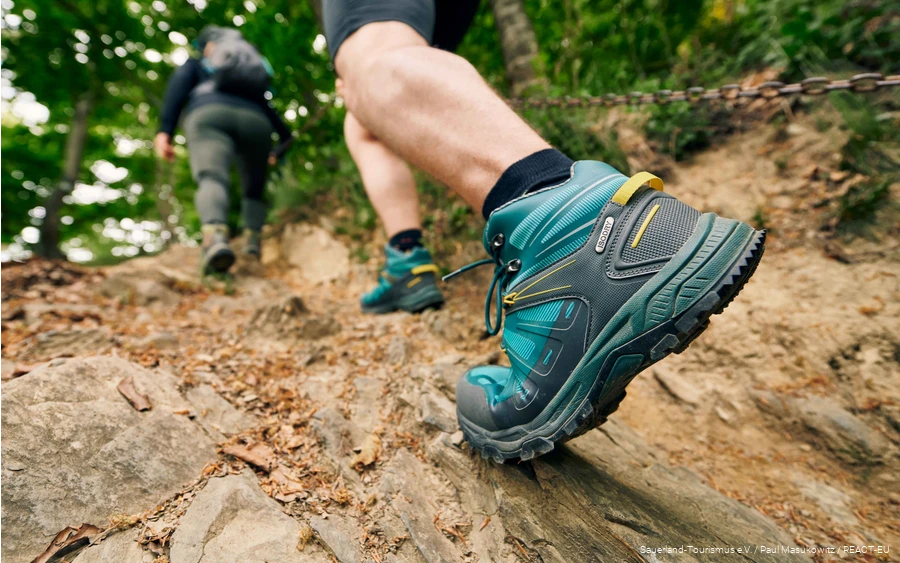 Hikers on the Winterberg high tour in the Sauerland-Wanderdorf hiking villages.