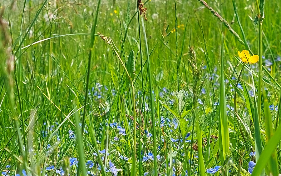 20260522_114317.jpg