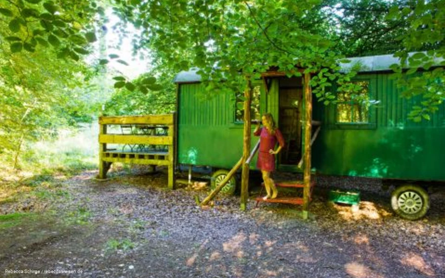 Rebecca am Kolkrabenhorst Reisebloggerin Rebecca Schirge im Wildwald Vosswinkel