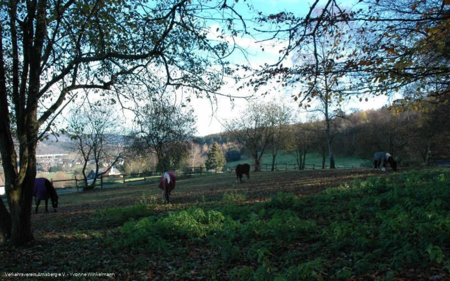 Ansicht Koppeln Ansicht Koppeln