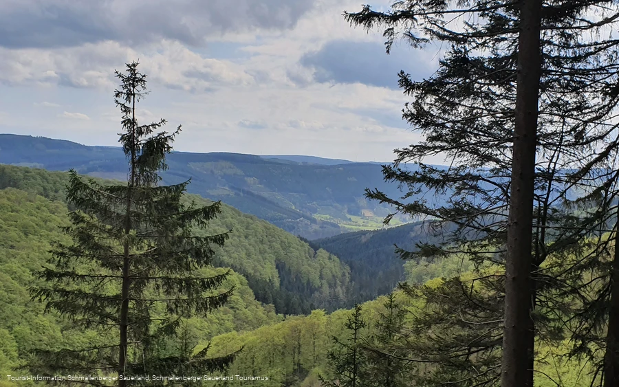 Aussicht auf dem Weg zu Greitemanns Stein