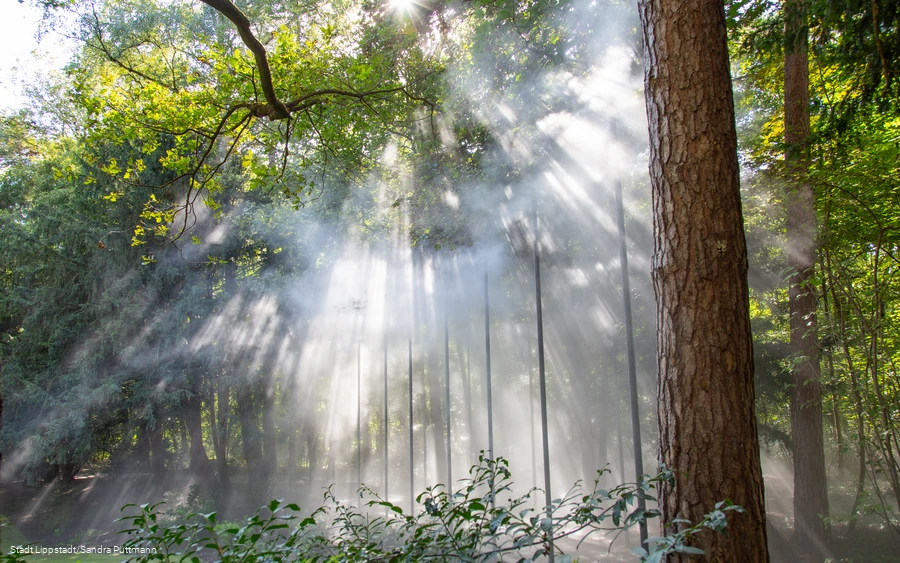 Cloud forest5©City of Lippstadt_Sandra Püttmann.jpg