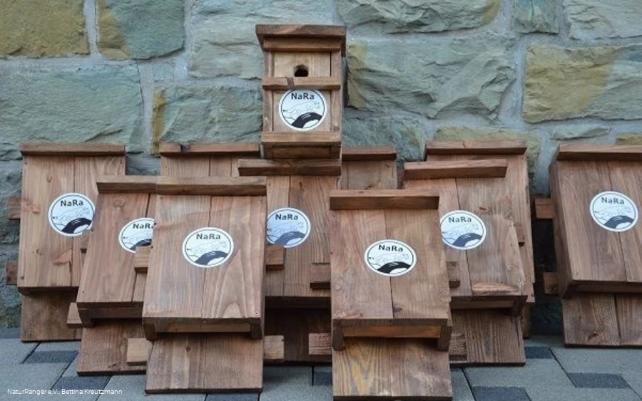 Fledermaus Nistkästen