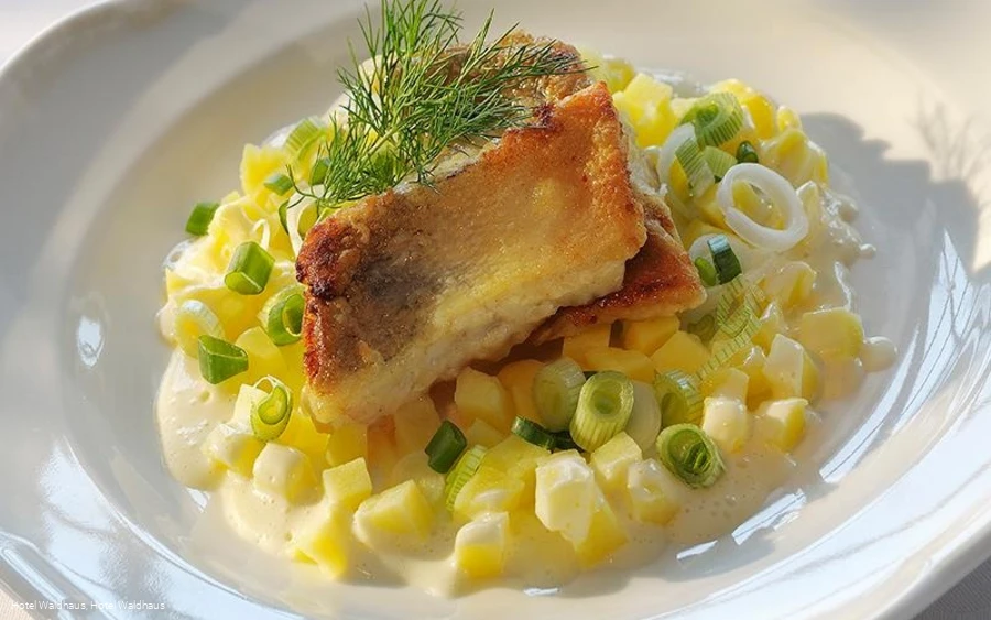 Zanderfilet im Hotel Waldhaus Föckinghausen Zanderfilet im Hotel Waldhaus Föckinghausen