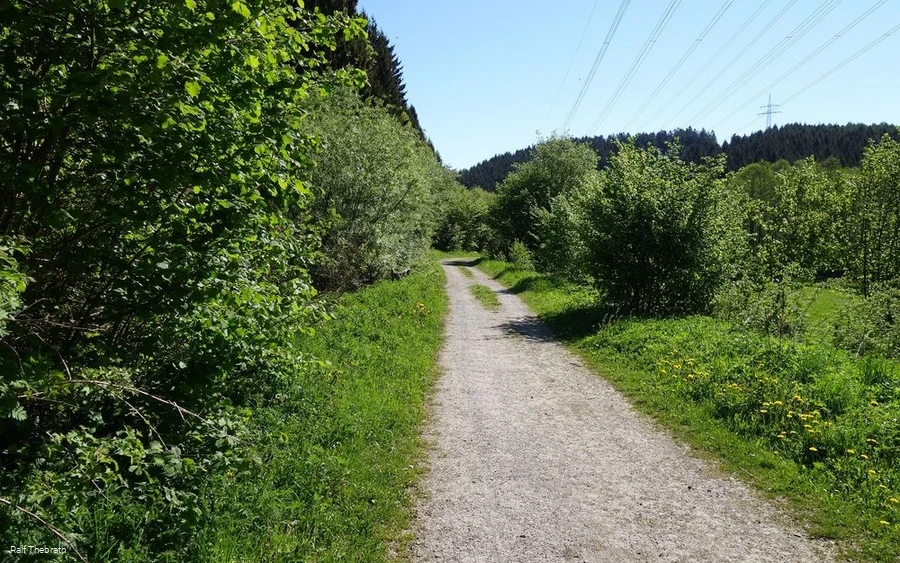 Fester Untergrund sorgt für sicheren Tritt