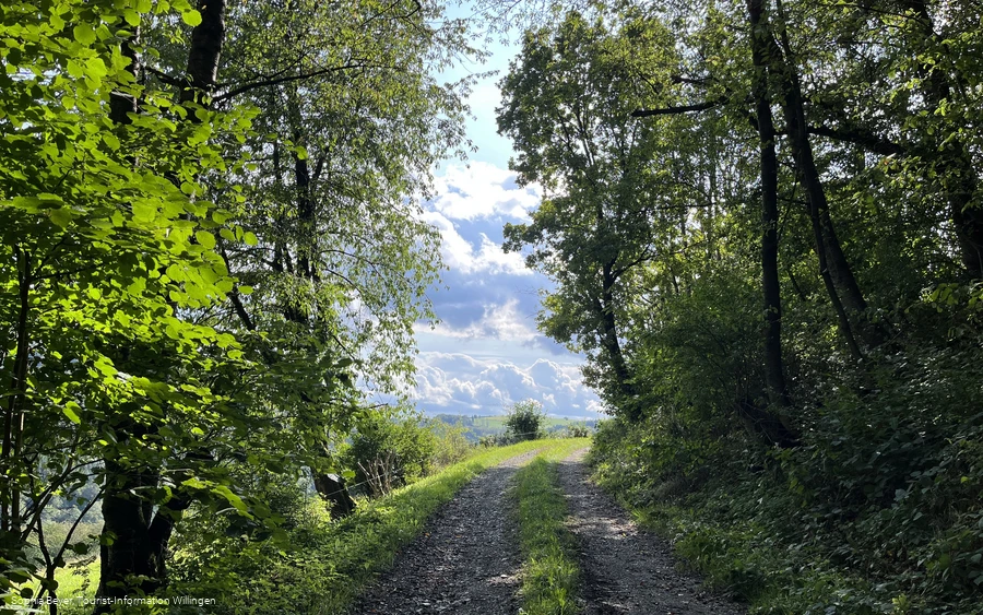 Am Wanderweg H2 bei Hemmighausen