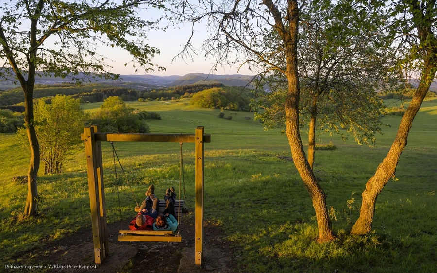 Waldschaukel auf dem Kornberg mit Ausblick in die Landschaft