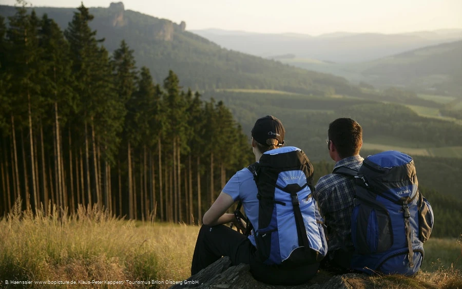 Blick auf die Bruchhauser Steine