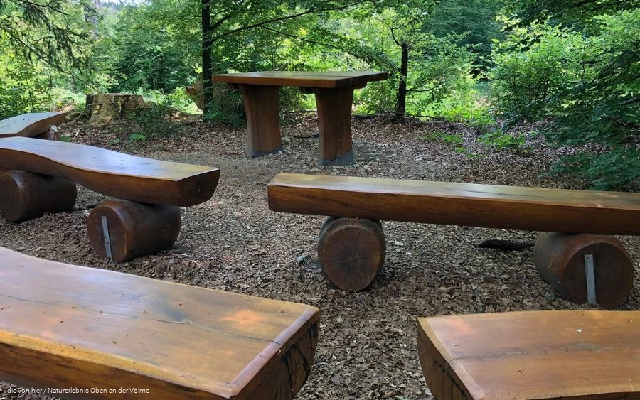 Das Klassenzimmer mitten im Wald