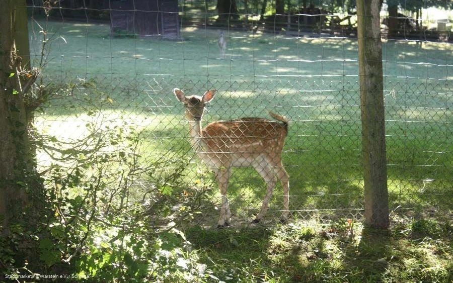 Tiergehege