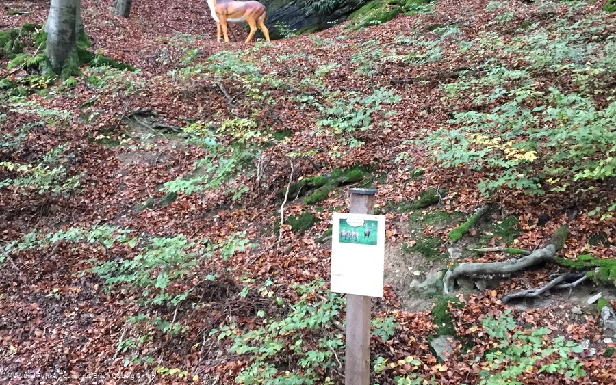 Erklärungen am Drumeckeweg