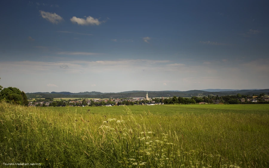 Blick auf Medebach