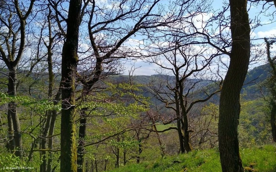 Altenfils 3 Altenfils 3