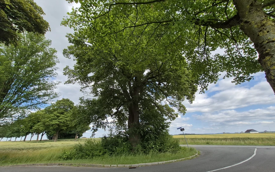 1750347706765.jpg 1750347706765.jpg