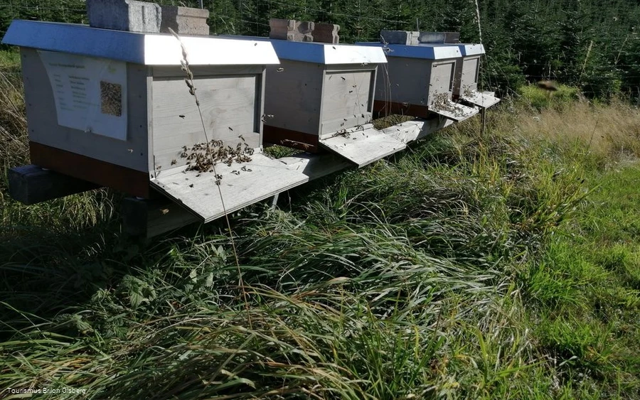 Imkerei Haaben Imkerei Haaben