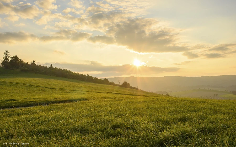 Landschaft im Abendlicht