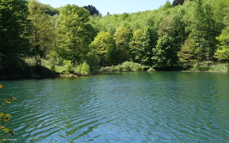 Der Uferweg führt entlang des Wassers und durch wu