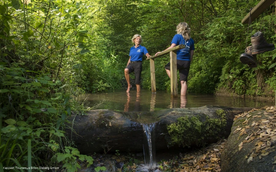 Tretstelle Papendiek auf dem Kneippweg