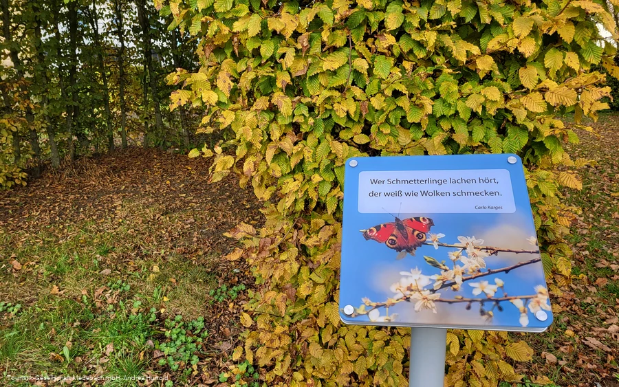 Garten der Generationen Medebach