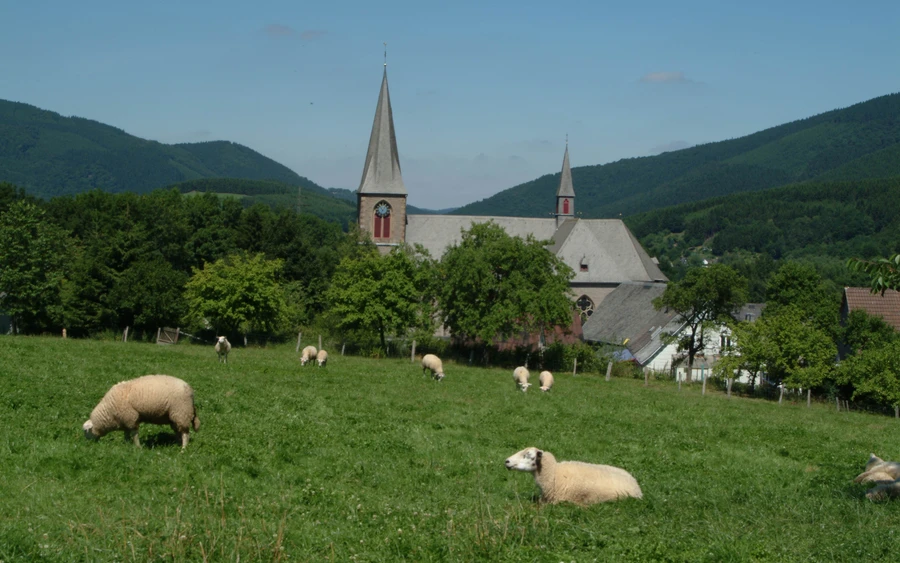 Brunnenweg13.Juli-Rosenfest 047.JPG