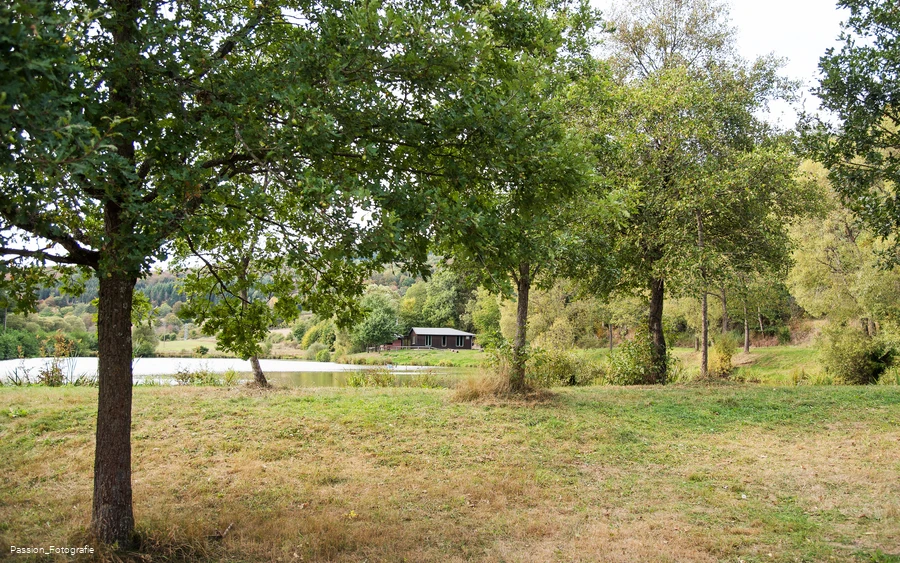 Uferlandschaft am Silbersee