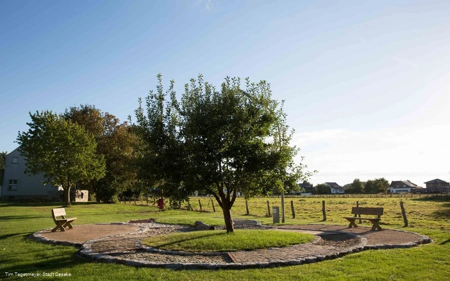 Barfußpfad Barfußpfad