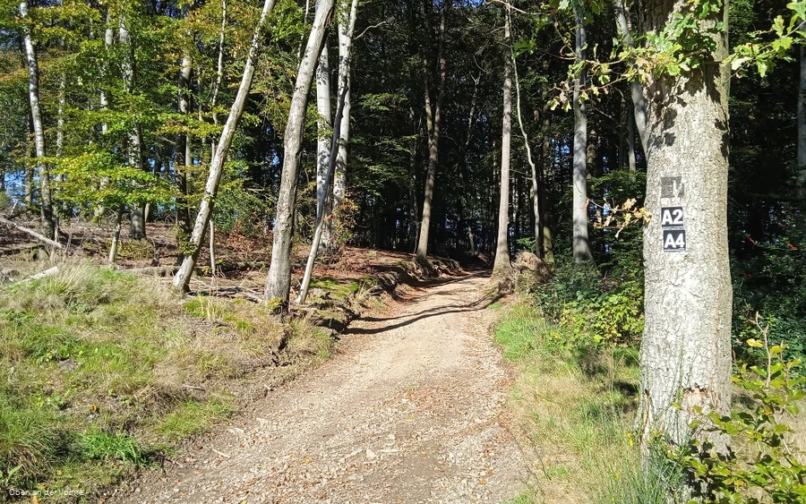 Wanderwegabschnitt VolmeSchatz Sagen auf dem Arney bei Kierspe