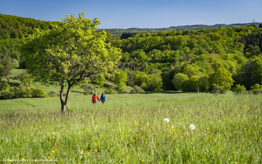 Zwei Wanderer auf der grünen Wiese