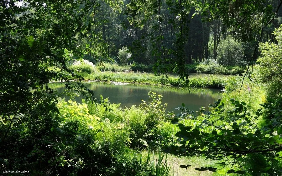 Die Mühlenteiche