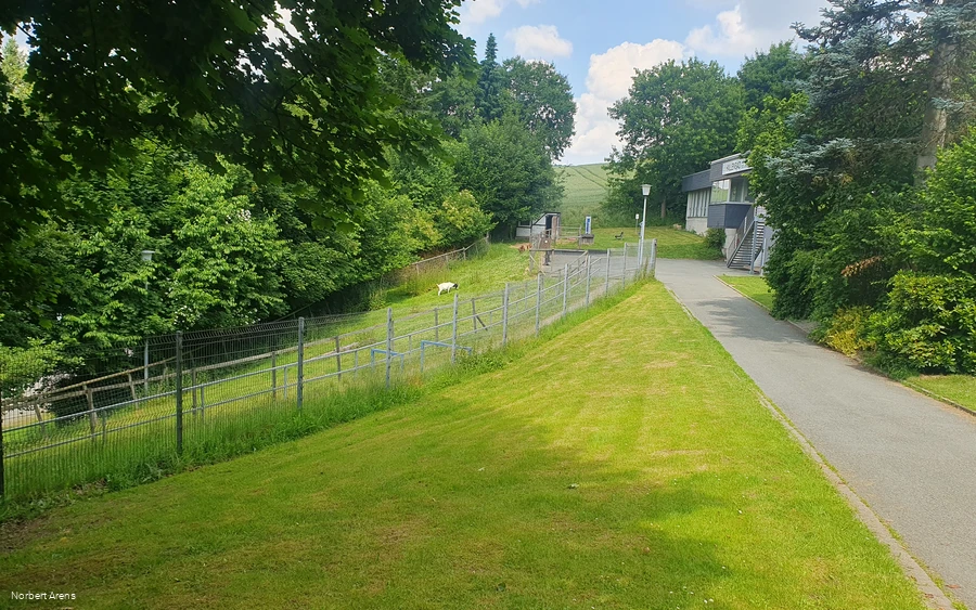 20250618_Außengelände knaus campingpark  (3).jpg