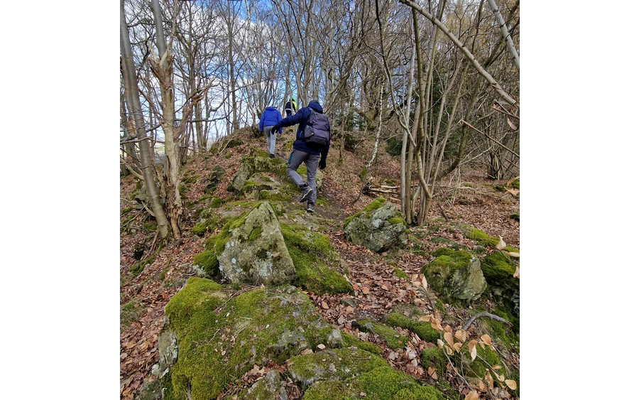 Steinberg Ostwig