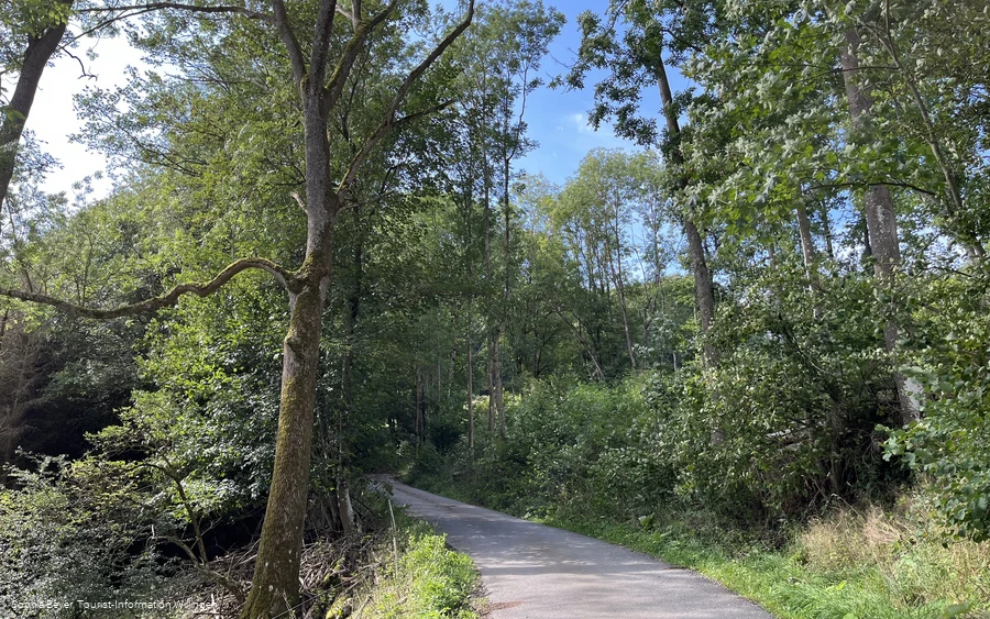 Wanderweg H2 in Hemmighausen 