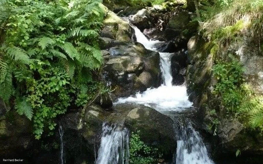 Wasserfall