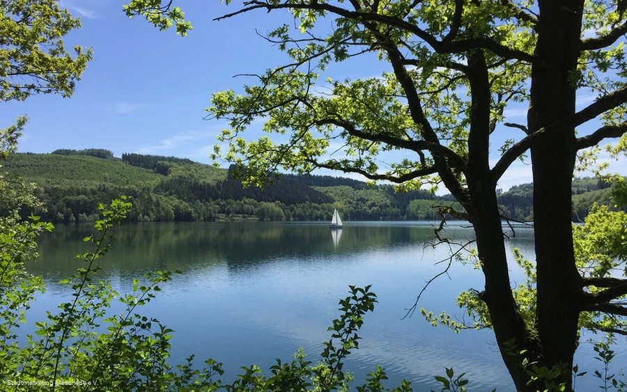 Hennesee