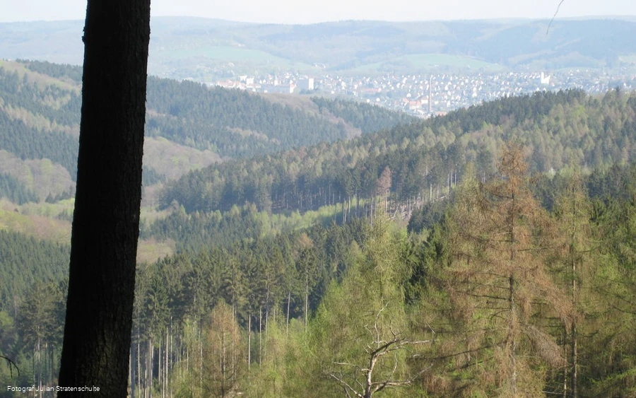 Blick auf Arnsberg