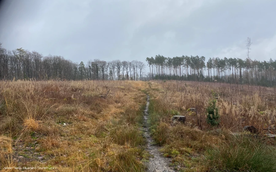 Naturbelassener Pfad