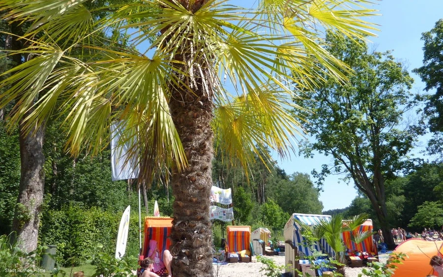 Strandlandschaft mit Palmen und Strandkörben von d
