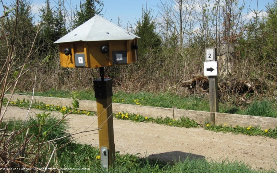 Waldweg Grenzenlos1.jpg Waldweg Grenzenlos1.jpg