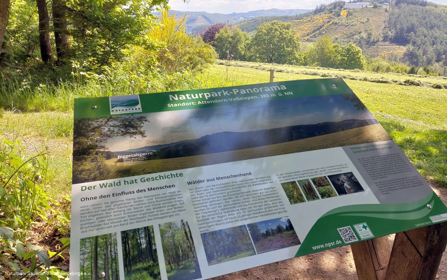 Panoramatafel am Aussichtspunkt "Biggeblick".jpg