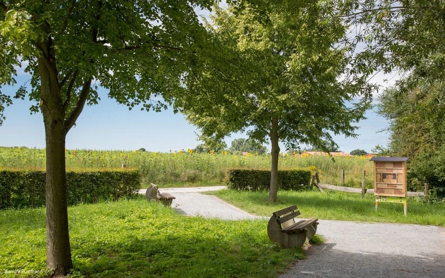Naturschutzgebiet Woeste bei Bad Sassendorf Naturschutzgebiet Woeste bei Bad Sassendorf