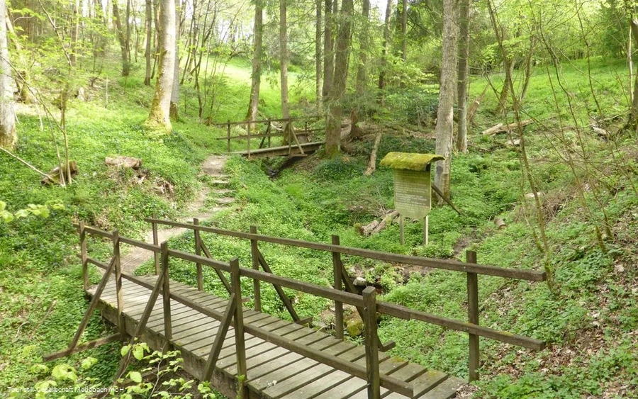 Die Orkequelle in Küstelberg Die Orkequelle in Küstelberg