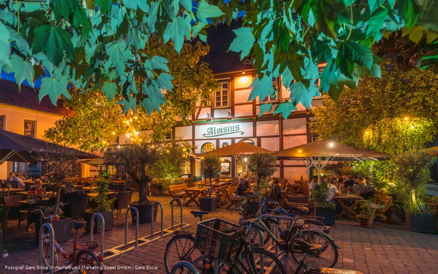 20250723_Aloisius 1.jpg