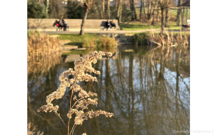 Spa Park Spa Park