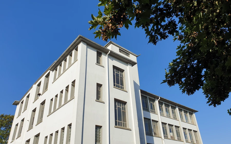 Strickwarenfabrik Brüser Rücken- und Seitenansicht_Caroline Unger.jpg