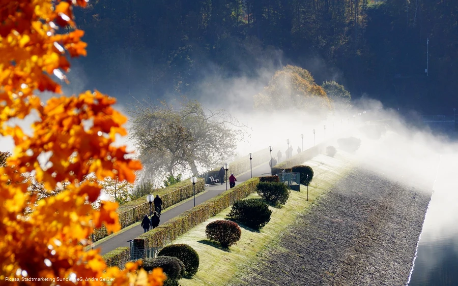 Nebel über der Dammkrone Nebel über der Dammkrone